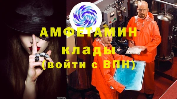 гидра Володарск