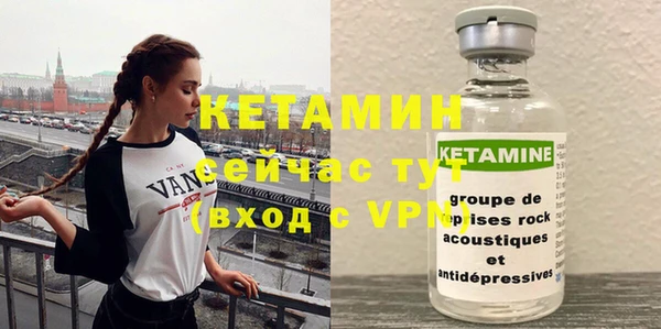 гидра Володарск