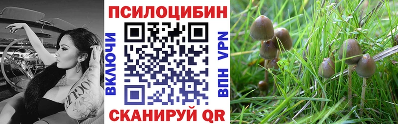 KRAKEN ССЫЛКА  Черкесск  Галлюциногенные грибы мухоморы 